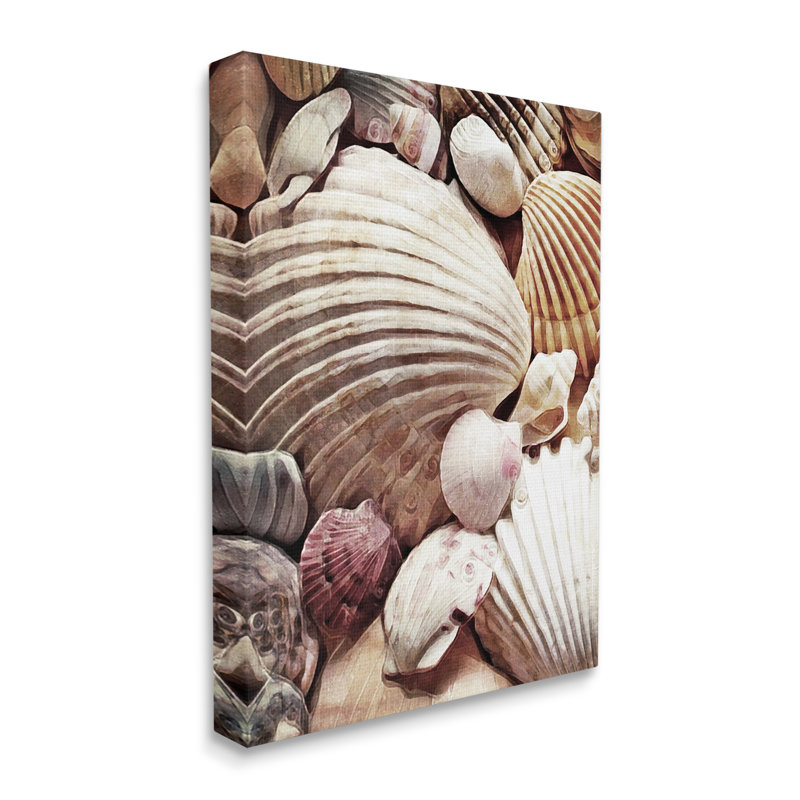 Art nautique sur toile flottant, coquillages de palourdes, par Ashley Aldridge, H 30 po x l 24 po x P 1,5 po, Toile tendue