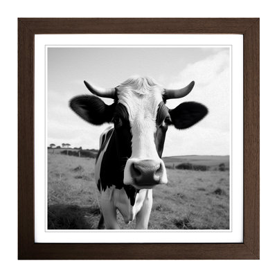 Cow Photograph - Framed Print