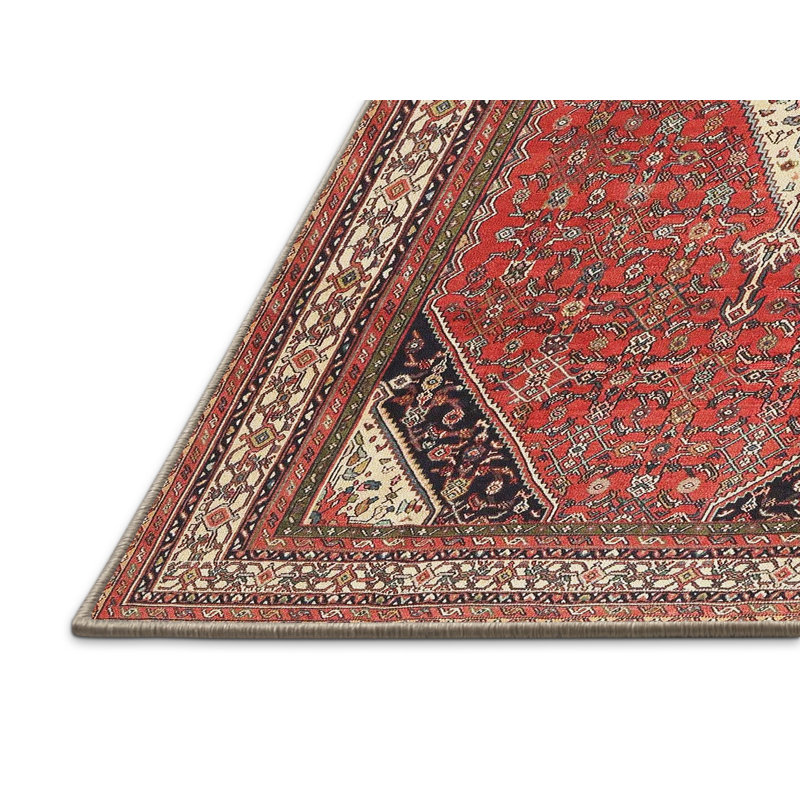 Tapis traditionnel marron / noir, Rectangle 5 pi x 7 pi