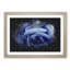 Blue Rose - Picture Frame Painting Print-56855059-56855062