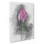 Petals Of A Purple Tulip In Abstract - Wrapped Canvas Print-55338434