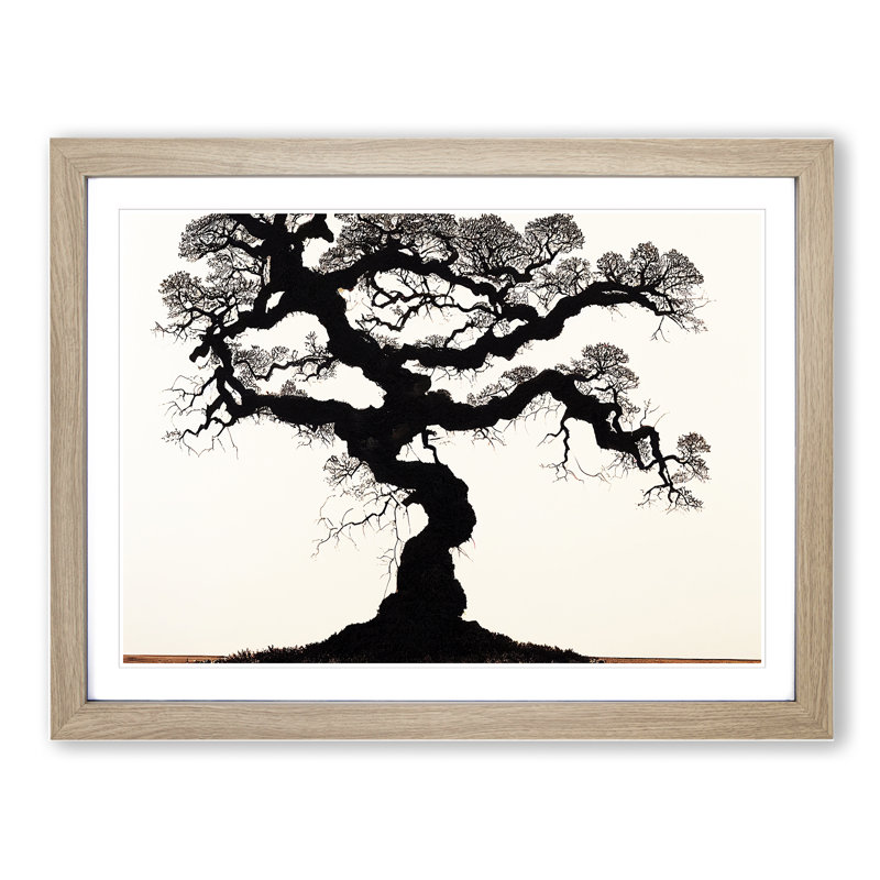 Epic Oak Tree - Framed Print, 25cm H x 34cm W x 2cm D, Oak