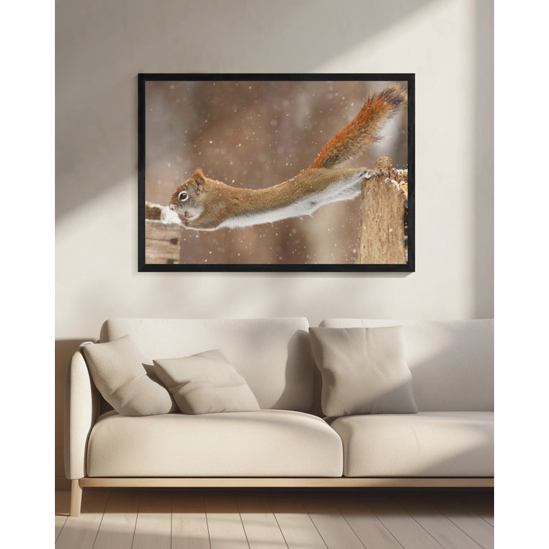 Art mural, cadre flottant d'acrobate, H 20 po x l 24 po, Noir