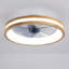Ventilateur de plafond Farmhouse