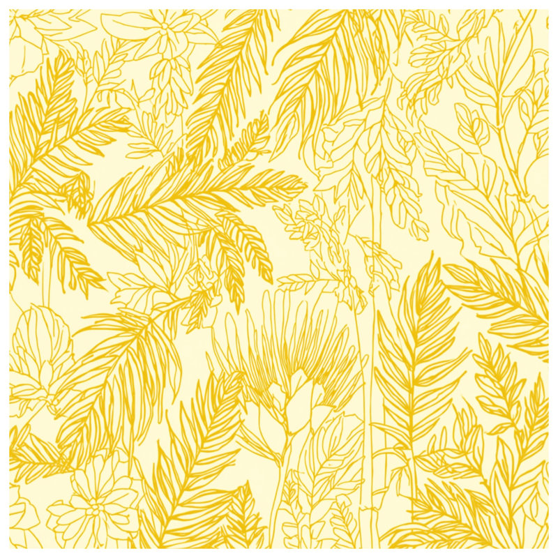 Édredon jaune botanique, Simple extra long