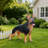 Outdoor German shepherd Dog Statue