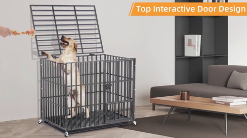 MoNiBloom Parc extérieur en métal pour chien avec cage et chenil pour  animaux et Commentaires - Wayfair Canada