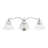 Ellerkamp 3 - Light Dimmable Vanity Light-1621176609