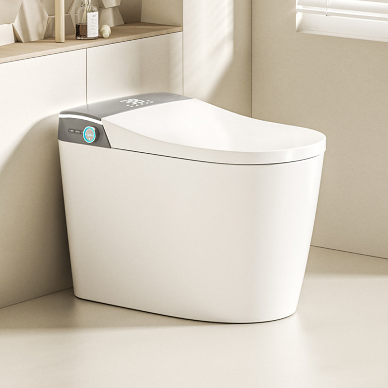 Toilette intelligente grise matte avec bouclier en mousse Yingze, Matte Grey