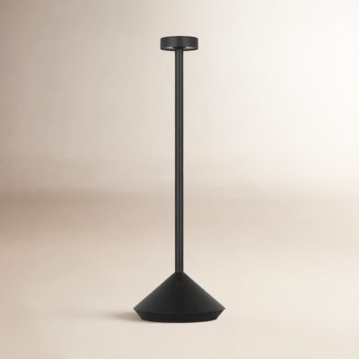 Moneta Novelty Lamp