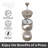 3 Cup Borosilicate French Press Coffee Maker (350 ml, 12 oz)
