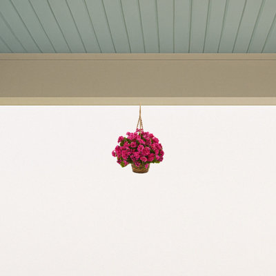 Geranium panier suspendu résistant aux rayons UV