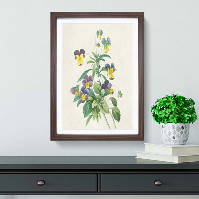 Wild Pansy Flowers by Pierre-Joseph Redoute - Framed Print
