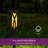 Matte Black Solar Powered Stainless Steel Pathway Light Pack