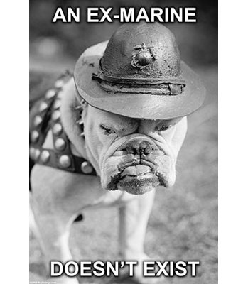 " An Ex-Marine " by Wilbur Pierce