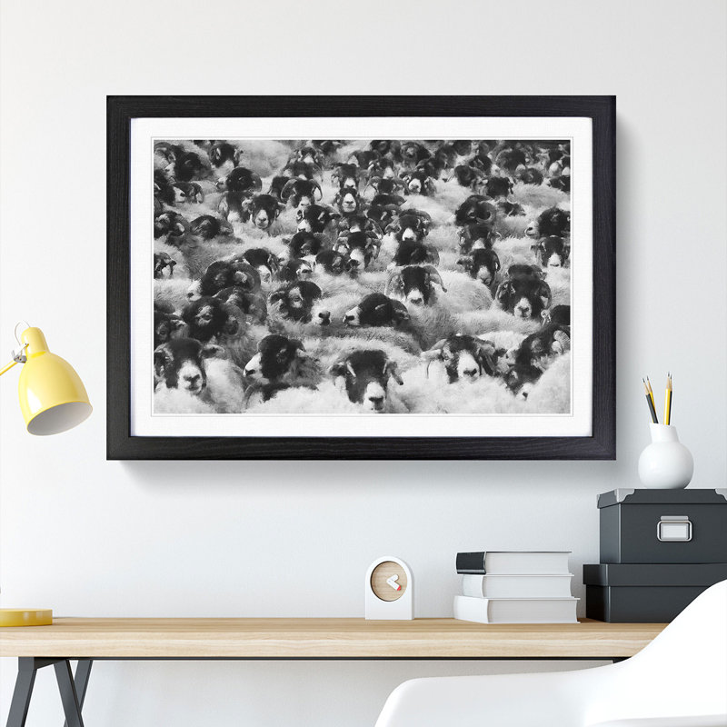 Flock of Sheep Vol.2 - Framed Print, Black Framed, 48cm H x 65cm W x 2cm D