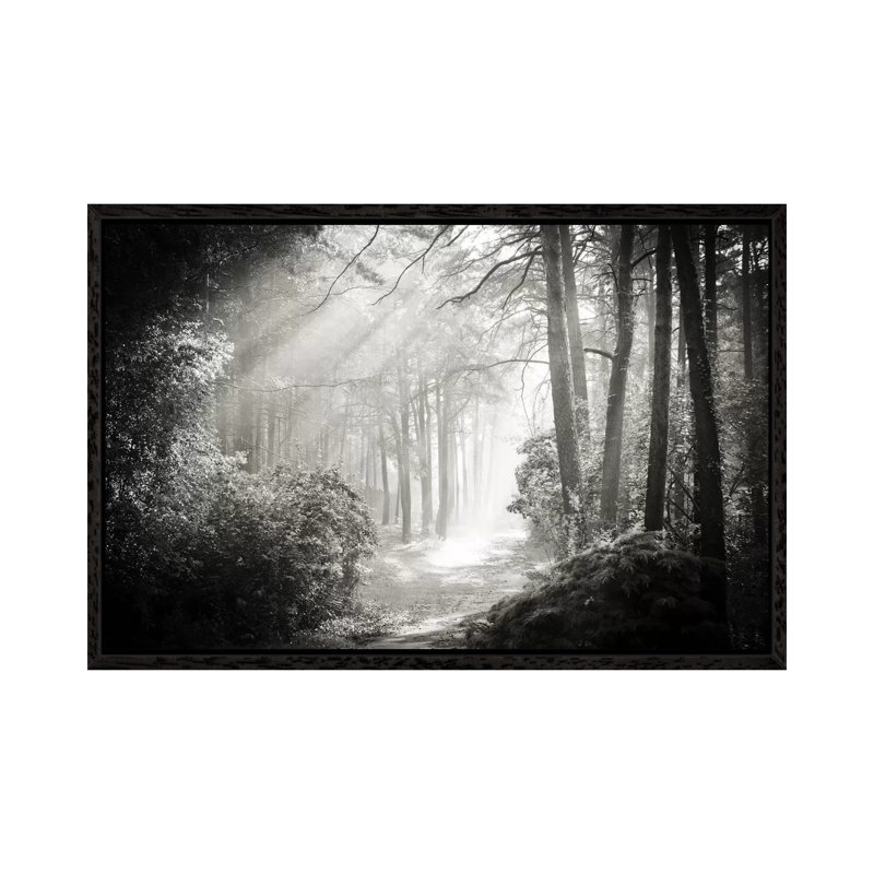 Into The Forest II by Dorit Fuhg - Wrapped Canvas Print, Black Framed Canvas, 101.6 cm H x 66.04 cm W