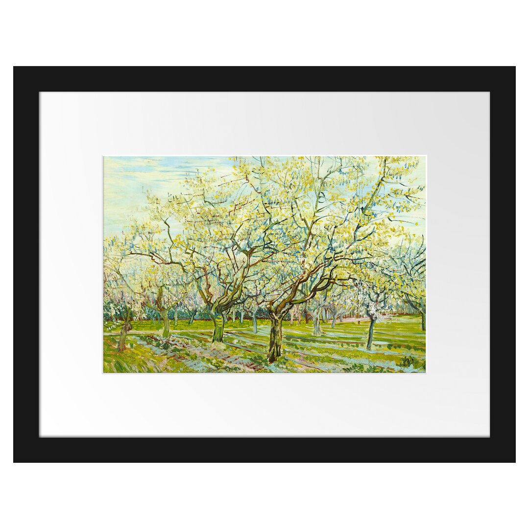 Gerahmter Kunstdruck The White Orchard von Vincent Van Gogh