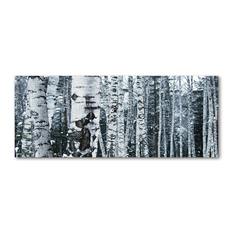 Birch Trees - Wrapped Canvas Print, 70cm H x 100cm W x 4cm D, Glass