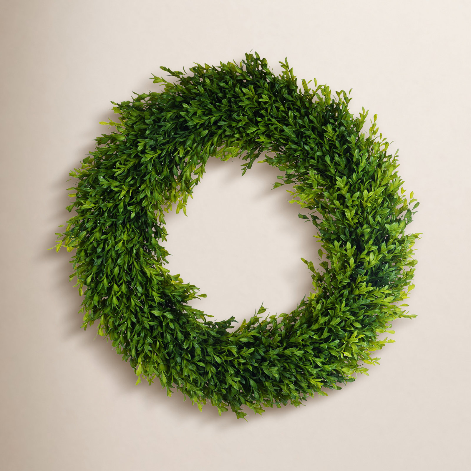 Primrue TEA LEAF BOXWOOD WREATH | Birch Lane