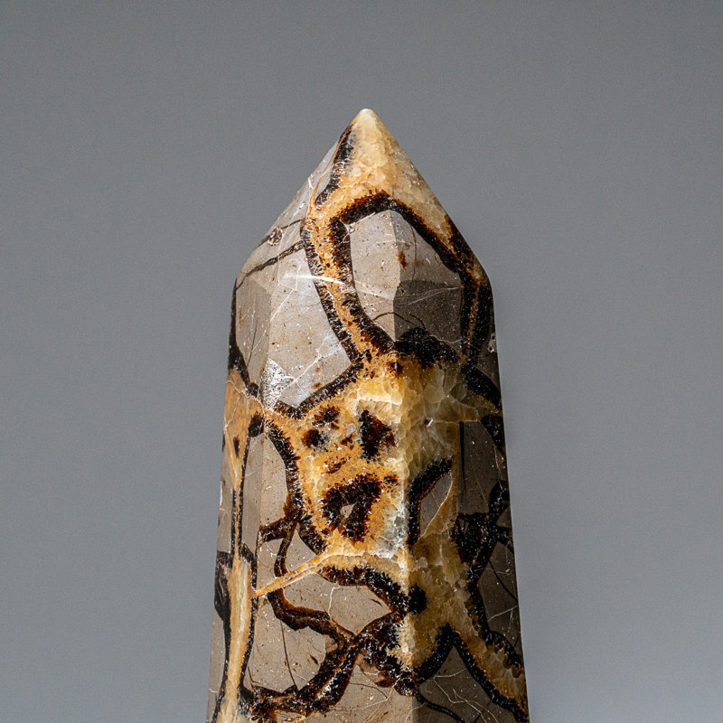 Genuine Polished Septarian Point from Madagascar (1.3 Lbs)