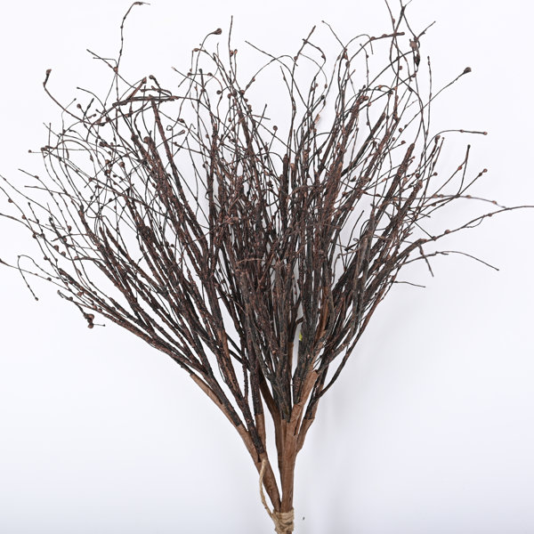 31,469 Birch Twig Royalty-Free Images, Stock Photos & Pictures