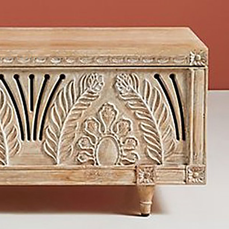 Boîte de rangement pour chaussures 49,2 po