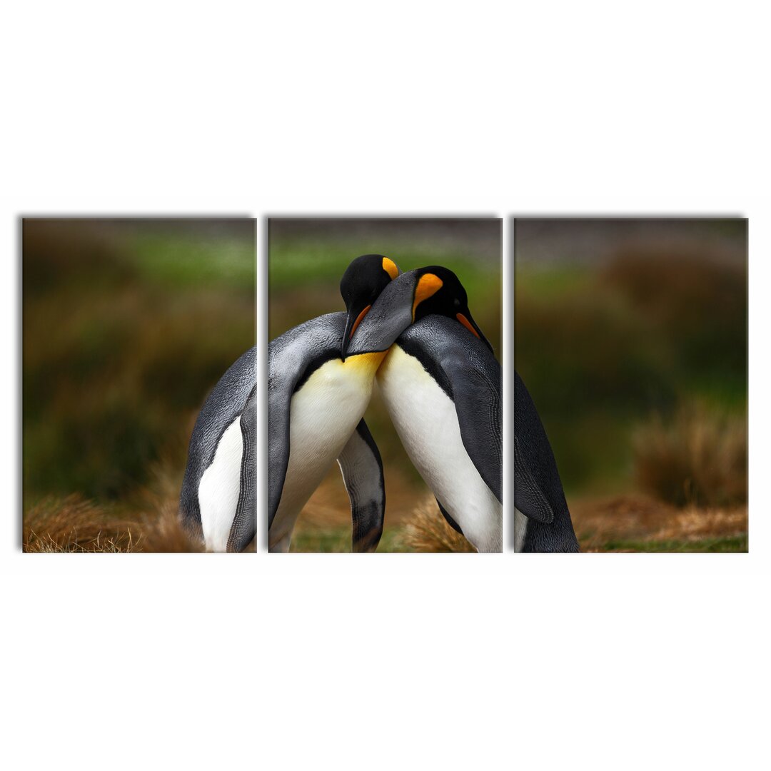 3-tlg. Leinwandbilder-Set Penguins in Antarctica