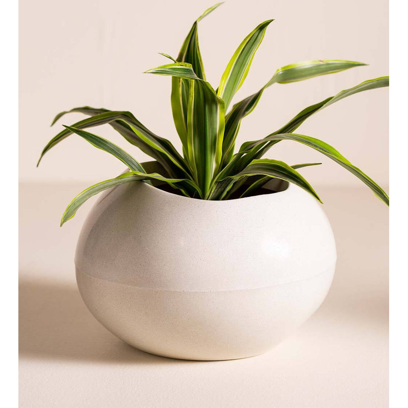 Dimitritchka Planter, White