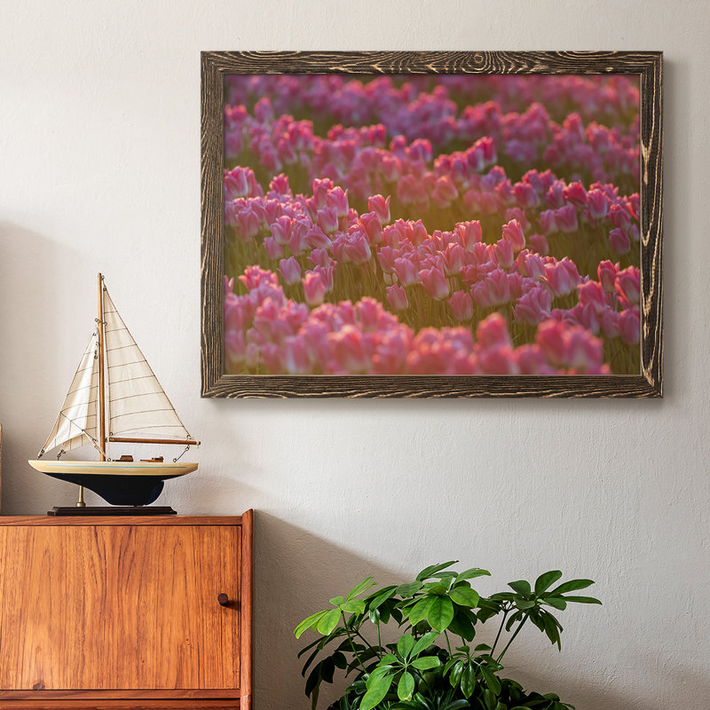 Field of Tulips I, reproduction d'art sur toile, Noyer, H 18 po x l 26 po x P 1,5 po