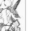 « colibris », reproduction d’art sur toile tendue-22076931