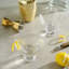 Verre martini 8 oz Raye