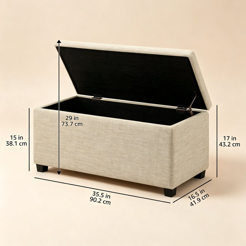 Shoe Storage Box
