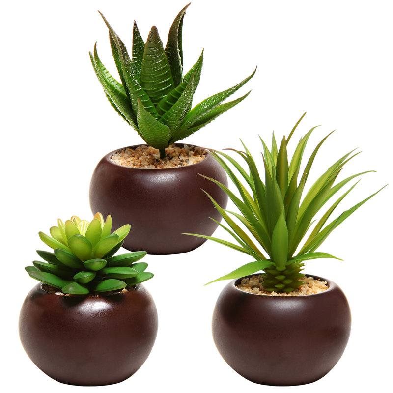 Ensemble de 3 plantes grasses artificielles en pot