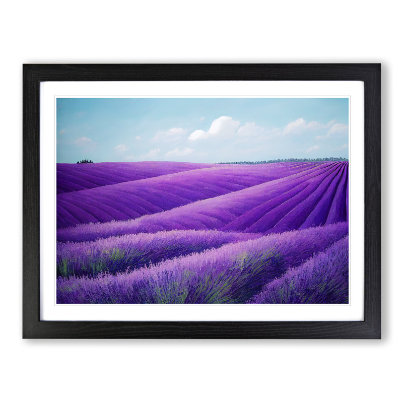 Adventurous Lavender Flower Field - Single Picture Frame Painting, Black Framed, 46cm H x 64cm W x 2cm D