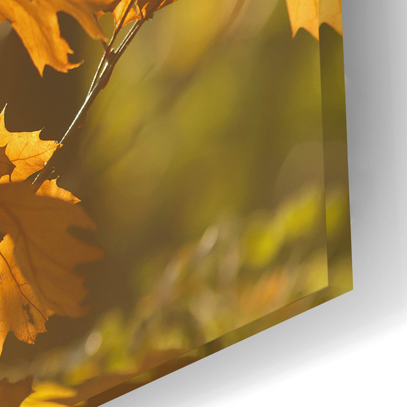 «Autumn Light» par Roeselien Raimond, H 16 po x l 24 po x P 0,2 po