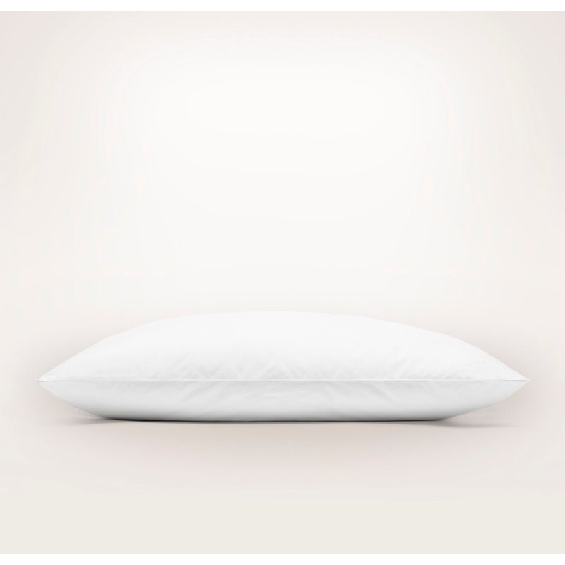 Down Pillow Insert, King, Soft