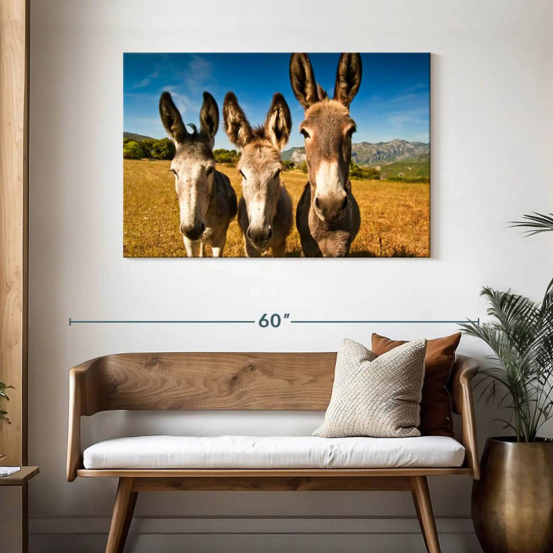 Brampt Donkey Trio, H 30 po x l 45 po