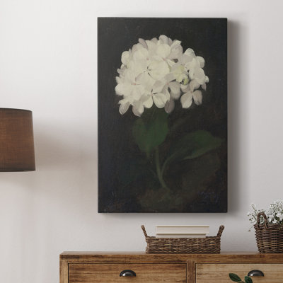 Motif floral rétro CCXC III - galerie Cavas