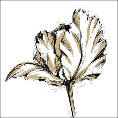 Tulip Sketch III by Ethan Harper - Art Prints on Canvas
