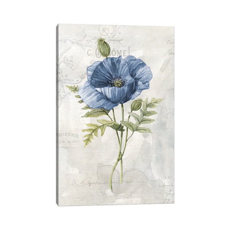 Blue Linen Poppy by Carol Robinson - Wrapped Canvas Print, 20.32 cm H x 30.48 cm W