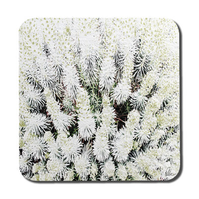 Square 6 Piece Coaster Set