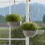 Boxdale Hanging Planter - Set of 2-650146792-650146796