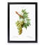 Green Grapes by Pierre-Joseph Redoute - Picture Frame Painting Print-55609083-55609080