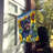 Alaskan Malamute in Sunflowers House Flag-112706321