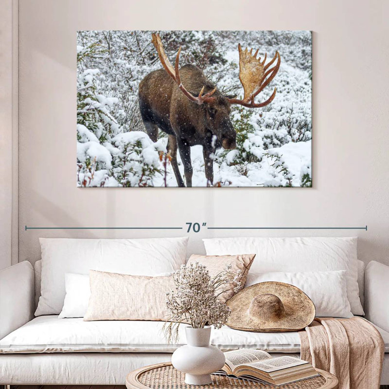 Moose In Winter