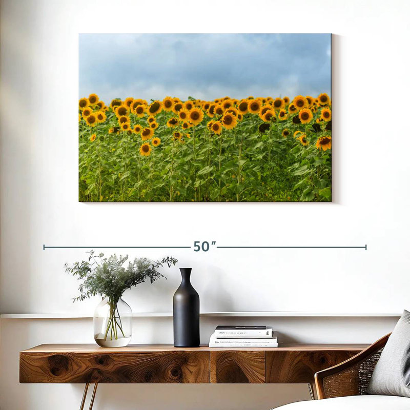 Tournesols Alvord, H 26 po x l 39 po
