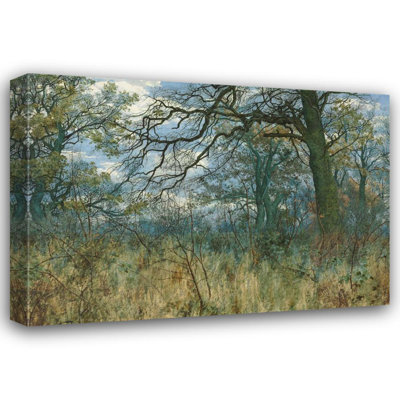 «Trees and Undergrowth» par William Fraser Garden - Art mural sur toile tendue avec châssis