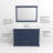 Dukes 48 in W x 22 in D Single Bath Vanity-113050147