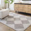 Fossay Geometric Washable High-Pile Rug-755883111